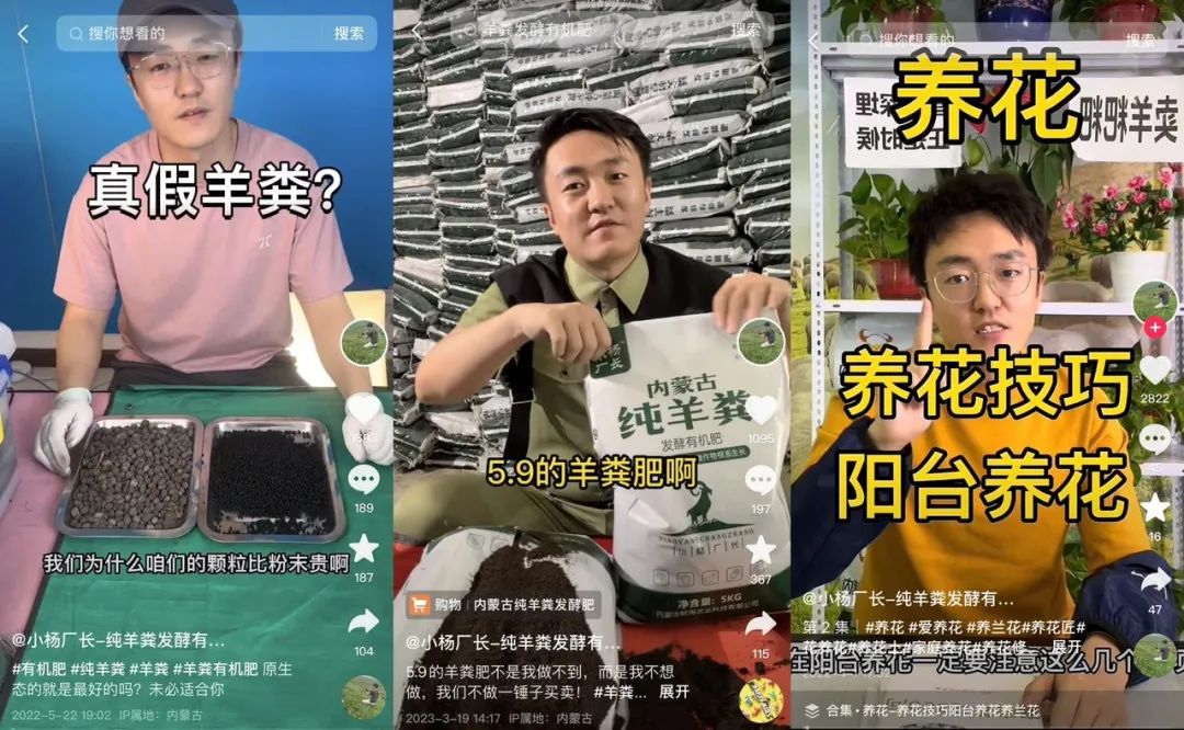 水下游泳视频大全_世界游泳冠军下水视频_游泳冠军下海